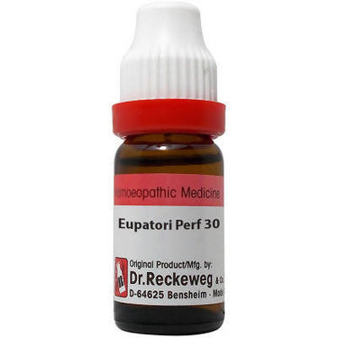 dr.-reckeweg-eupatorium-perfoliatum-dilutio